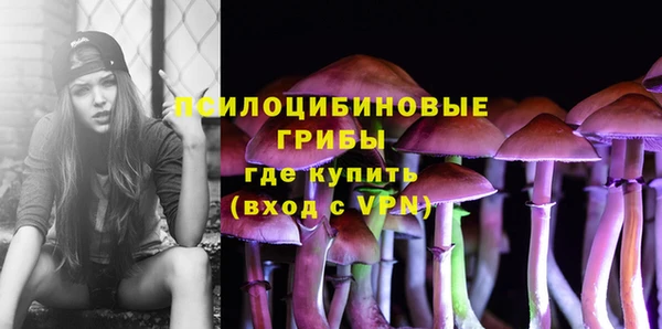 гидра Арсеньев