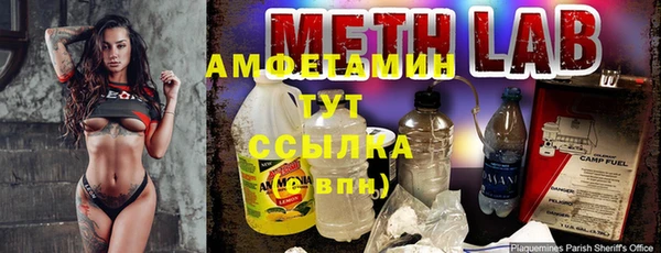 гидра Арсеньев