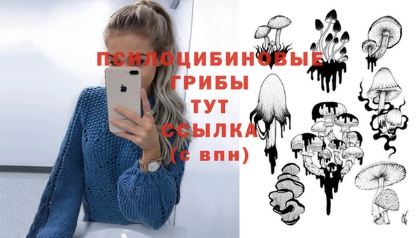 гидра Арсеньев