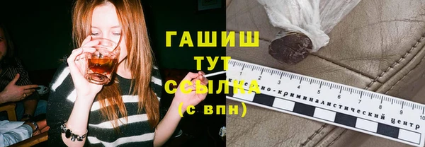 гидра Кодинск
