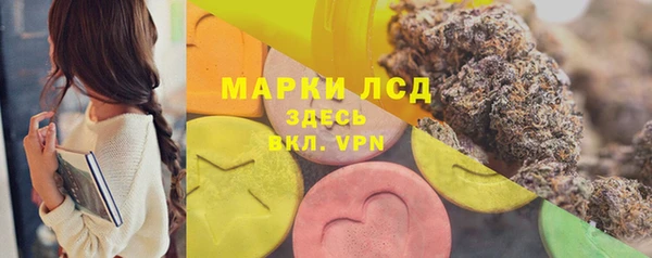 гидра Кодинск