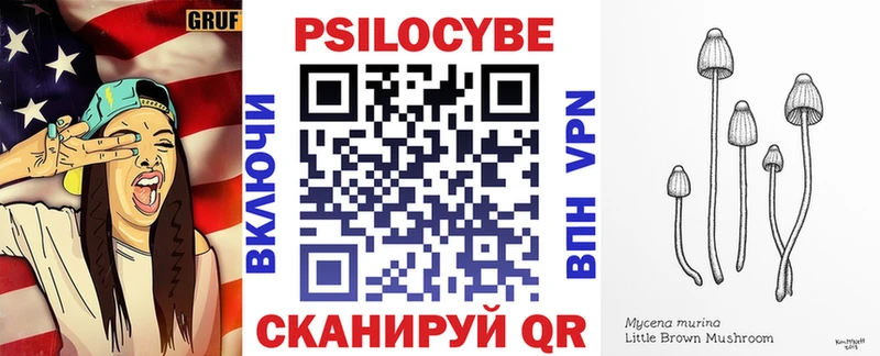 Псилоцибиновые грибы Magic Shrooms как найти закладки Полярные Зори