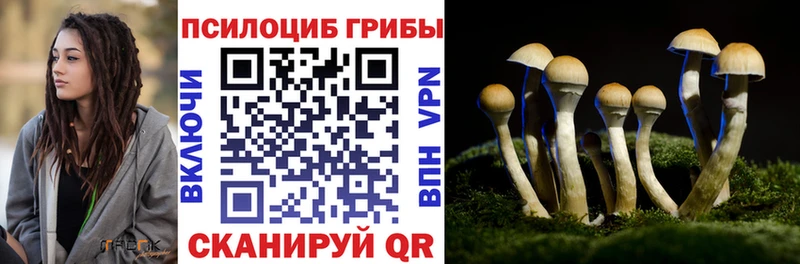 Псилоцибиновые грибы мицелий Полярные Зори